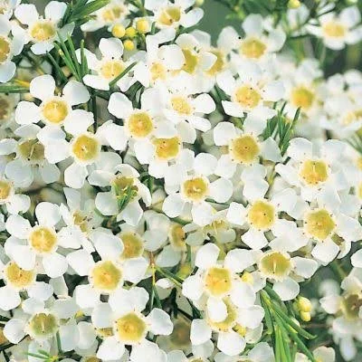images-3.jpg