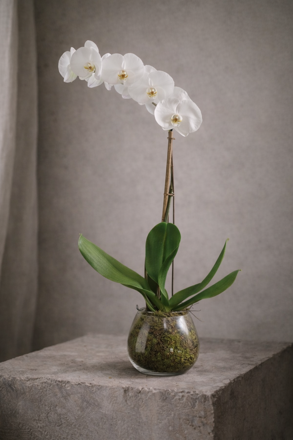 ChatGPT Image Apr 21, 2026, 03_44_09 PM.png