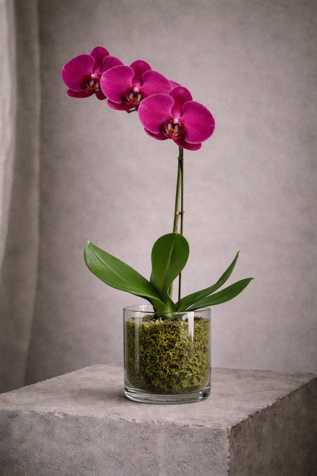 ChatGPT Image Apr 21, 2026, 03_48_39 PM.png