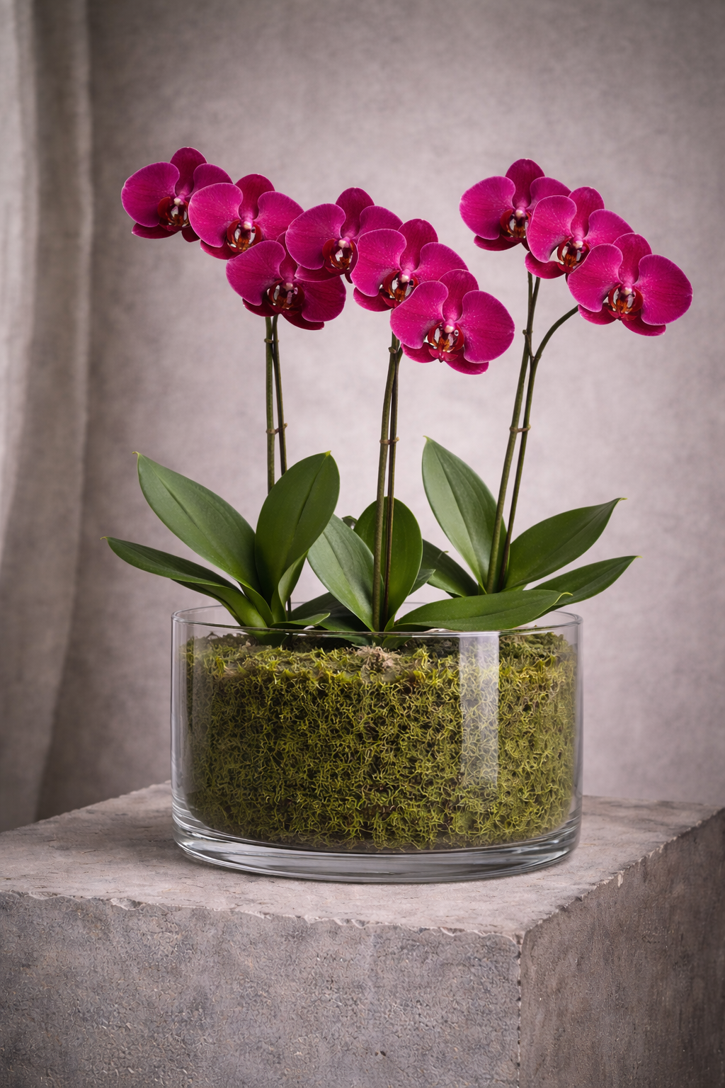 ChatGPT Image Apr 21, 2026, 03_50_11 PM.png