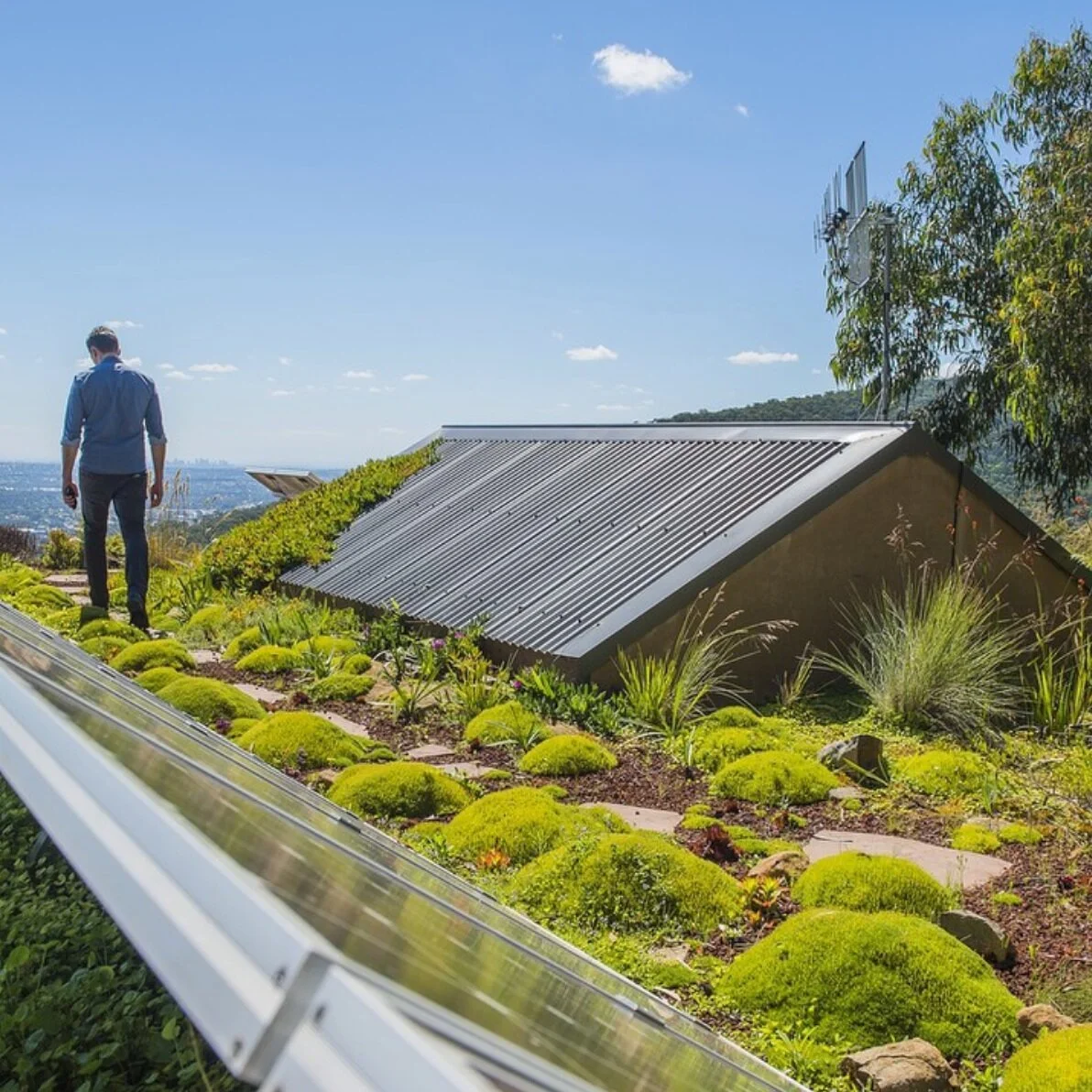 Building A Green Roof | DIY Green Roof: Easy Steps to Build Yours the ...