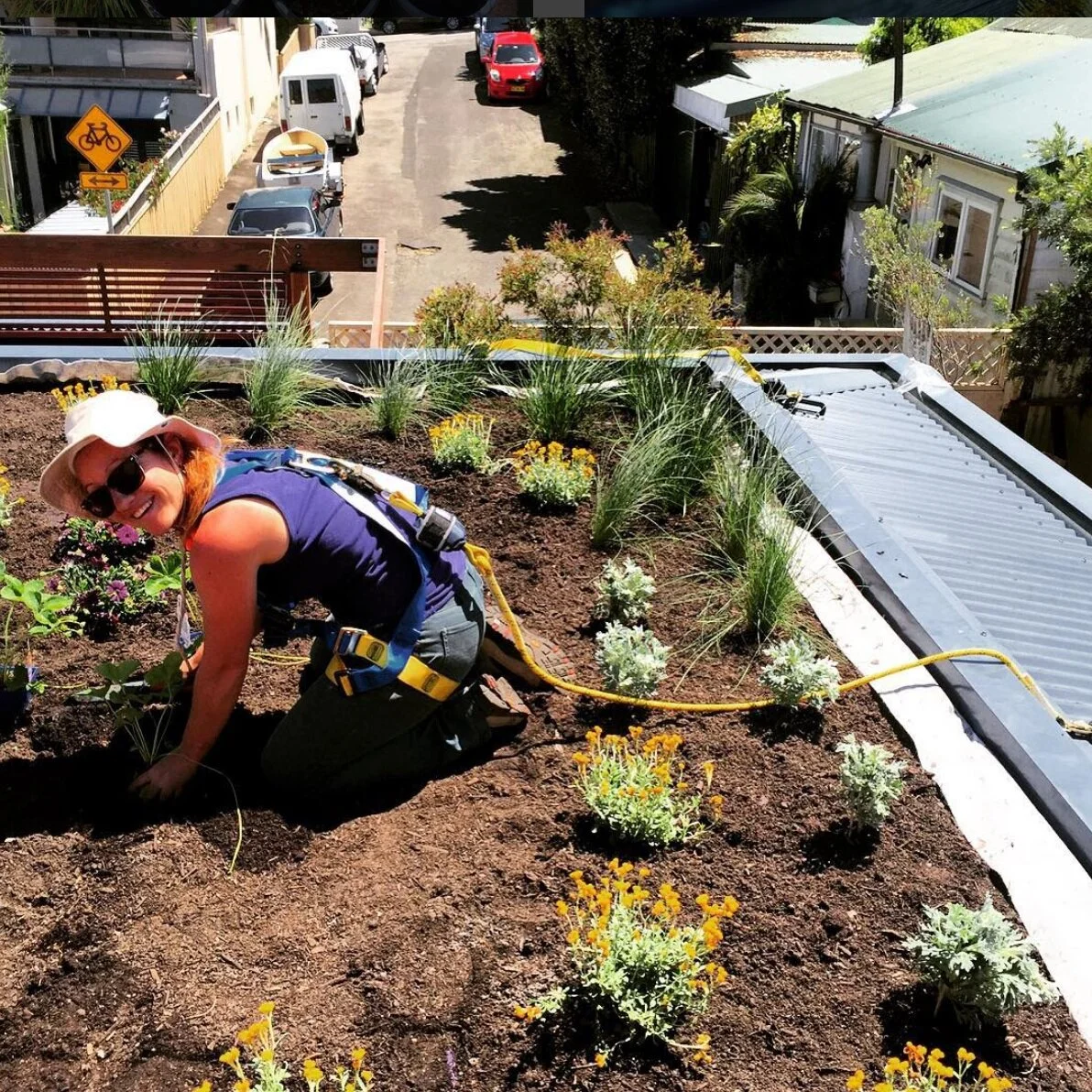 Green Roof Maintenance — Greenly.