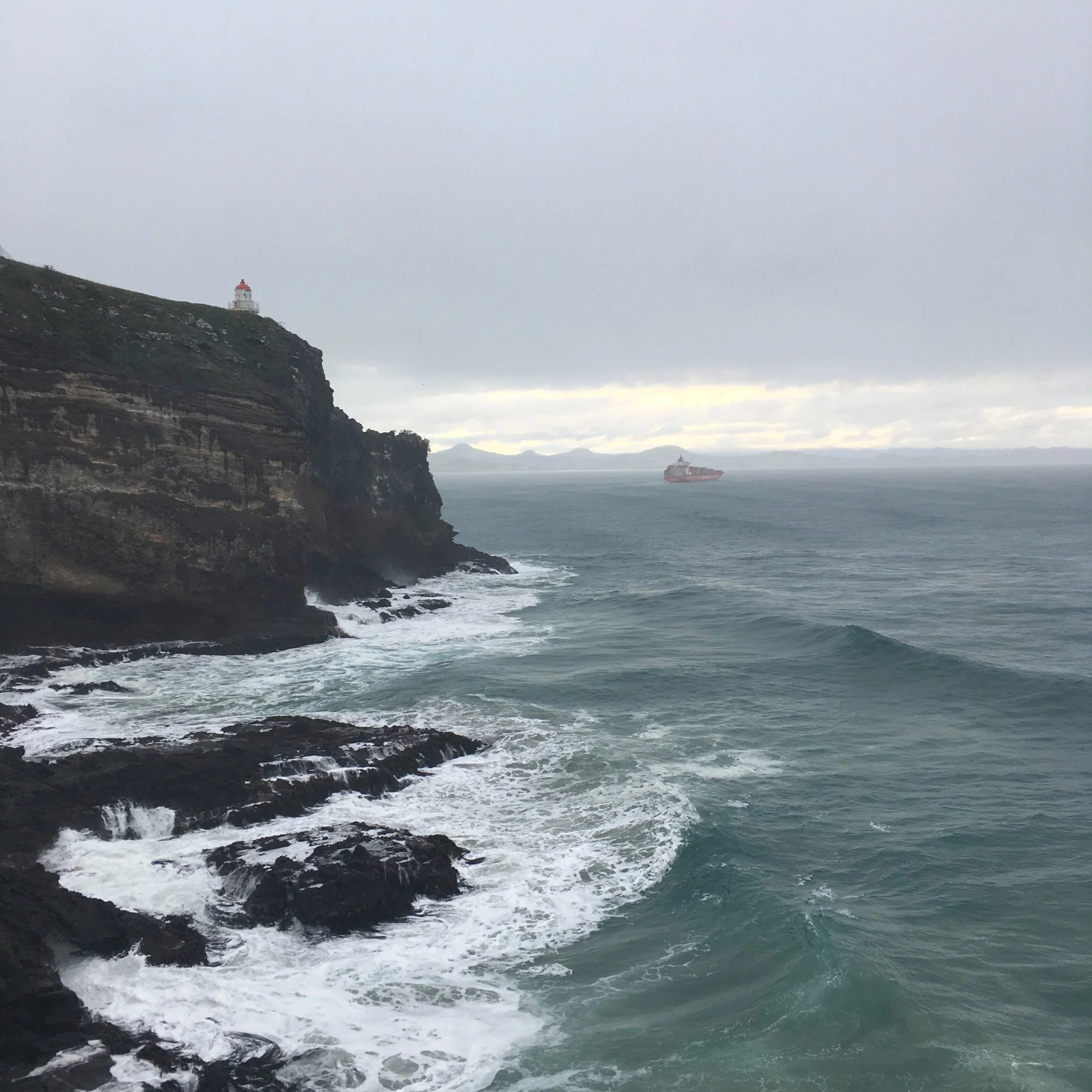Harrington Point , Otago Peninsula, outside of Dunedin. 