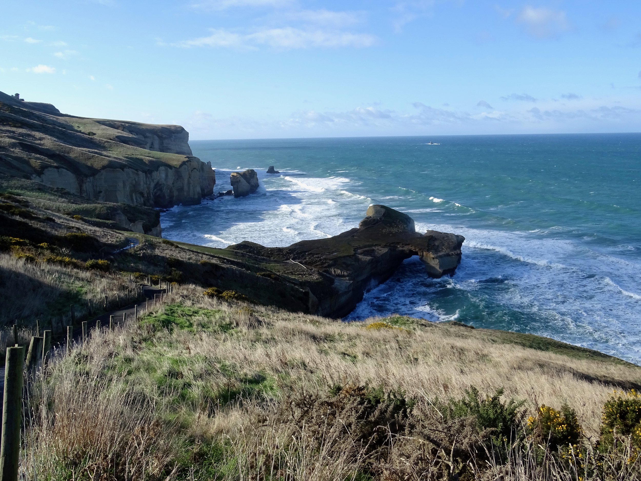 Just outside of Dunedin is a stunning hike called Tunnel Beach. It's a long, steep walk down to the entrance which gives you plenty of time to enjoy the views. 