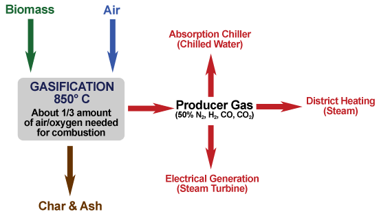 A diagram from the University of Minnesota, Morris, explains the process of biomass gasification. (Source: University of Minnesota, Morris)