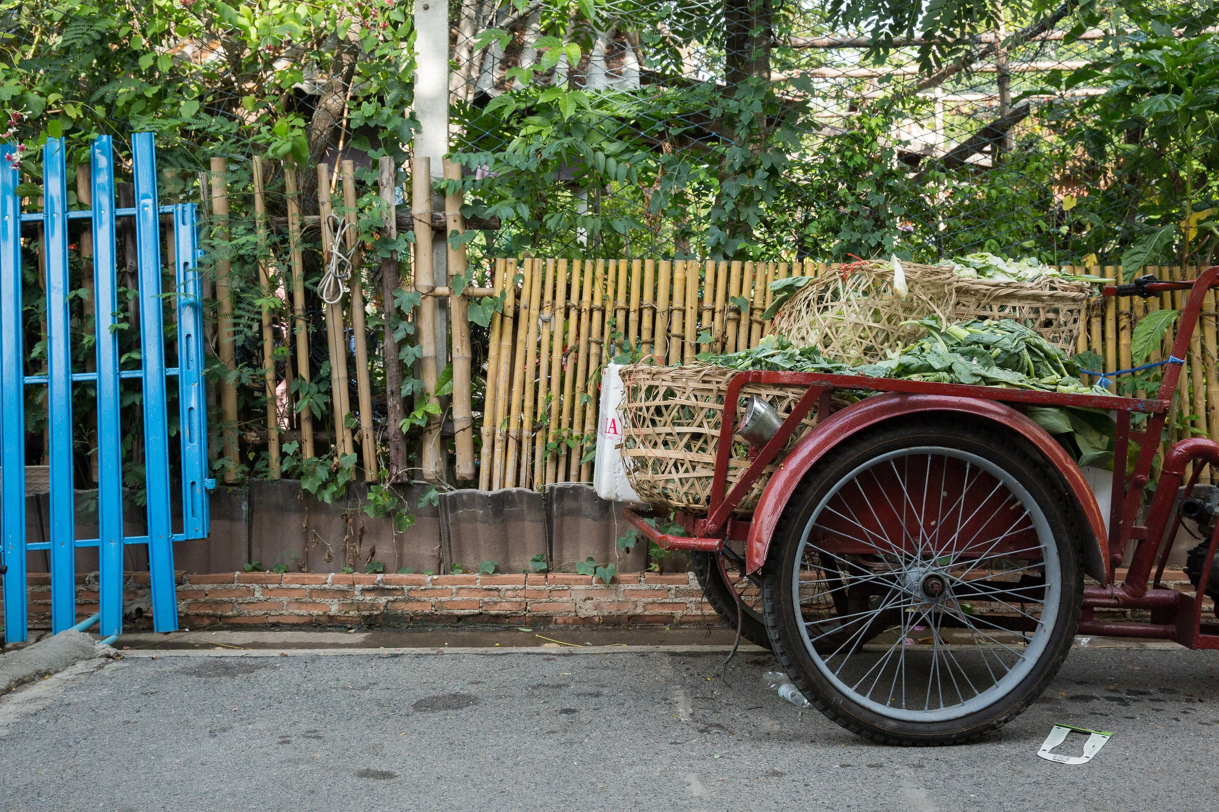 DSIL_2015-0046.jpg