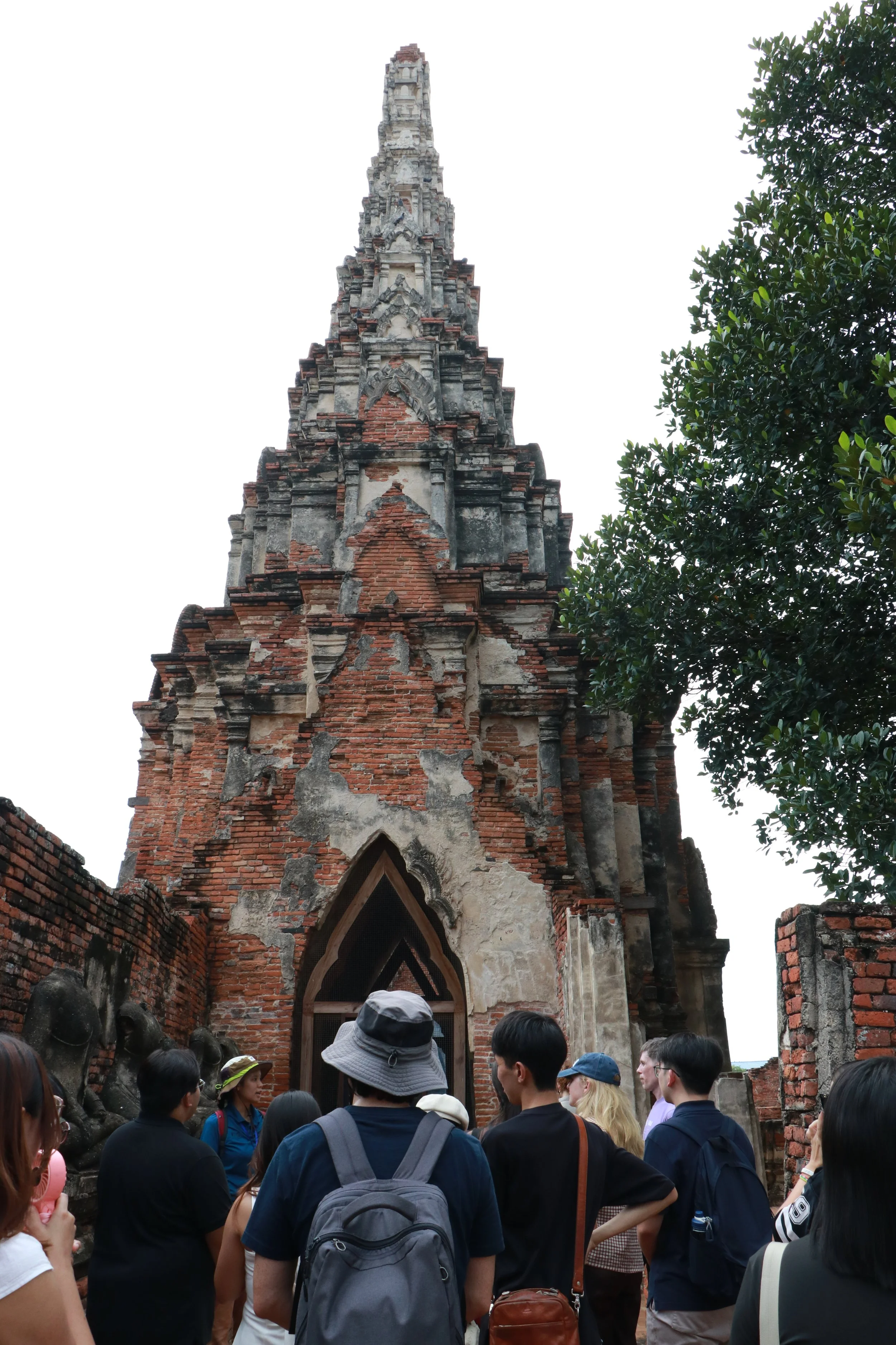 IMG_4994.JPG