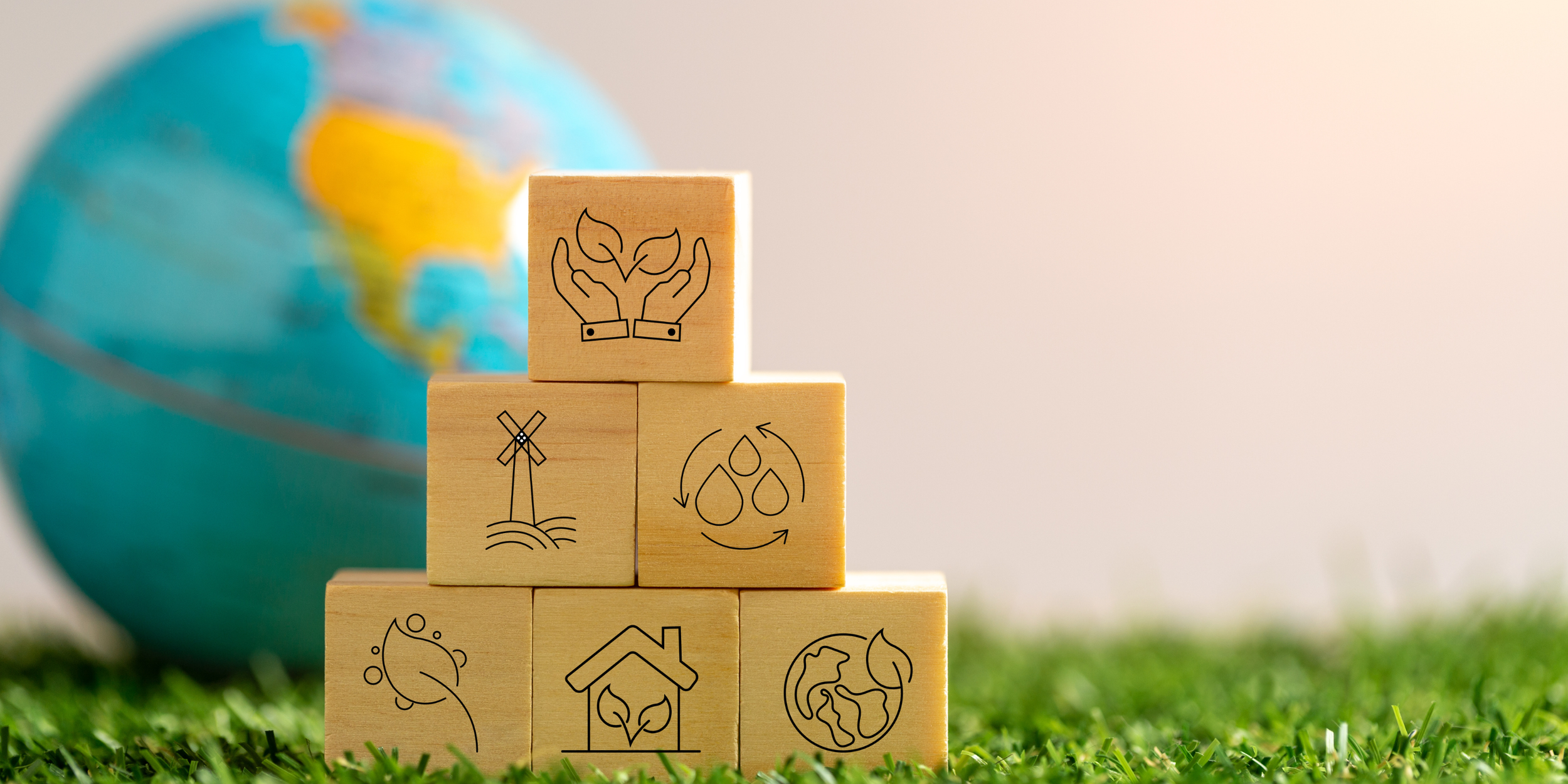 MAIDS-GRID Program.png