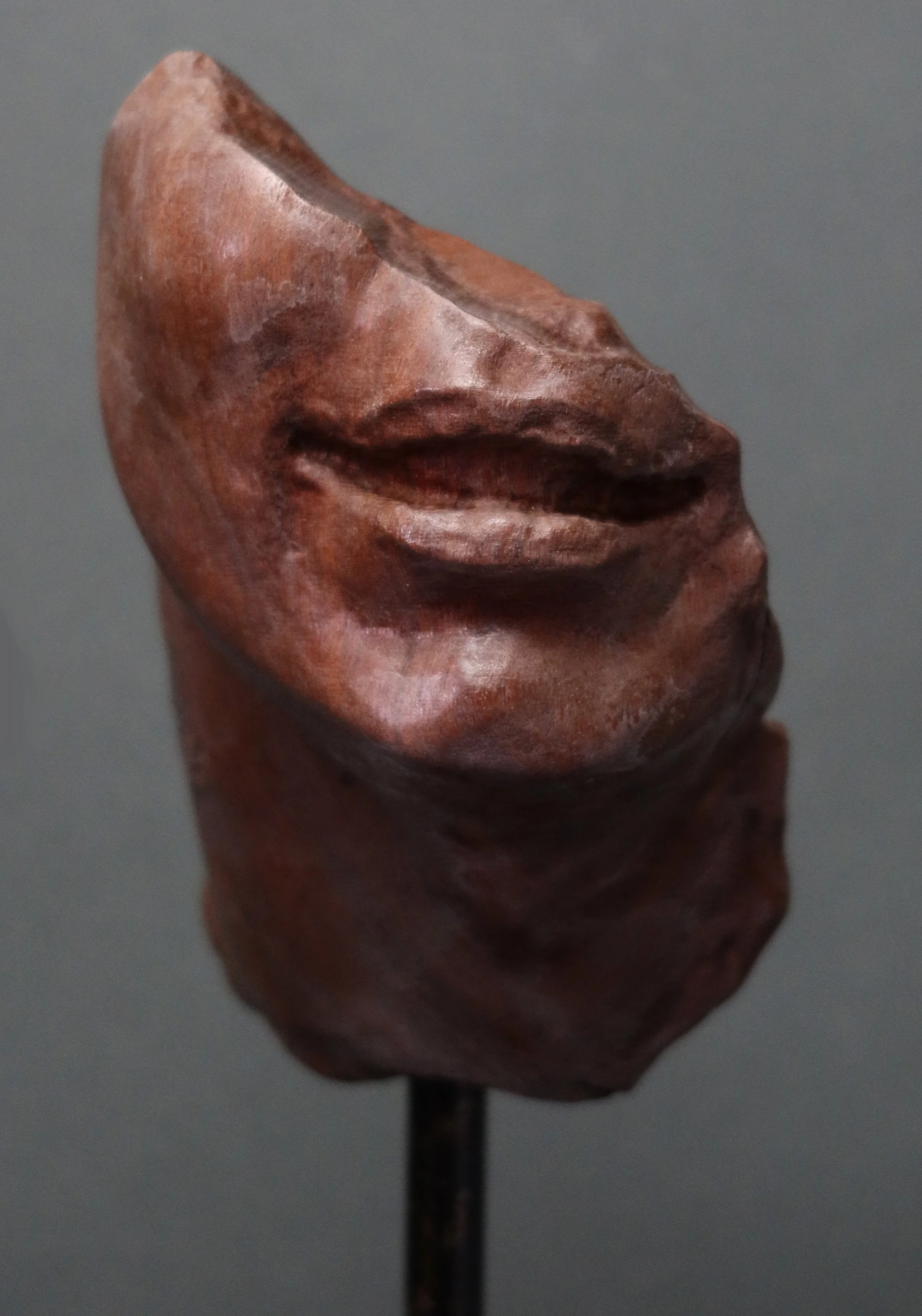 For The Camera detail.jpg