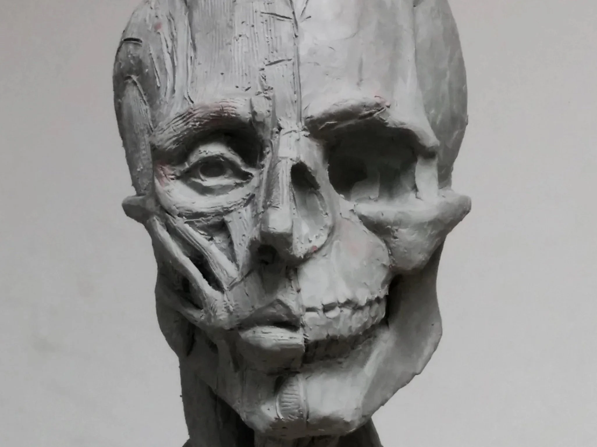 ONLINE Portrait Écorché Sculpture class 