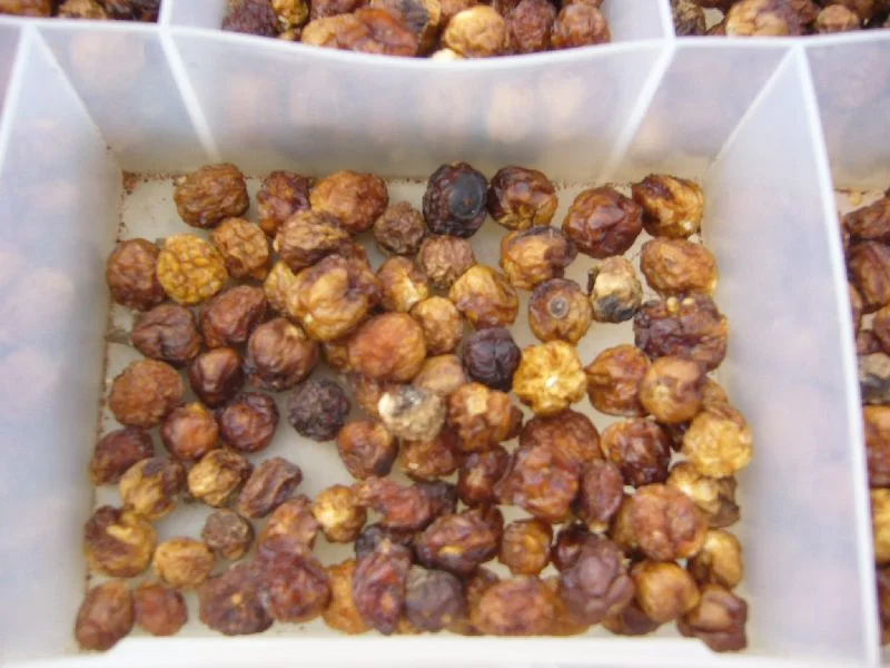 Dried Australian bush tomatoes