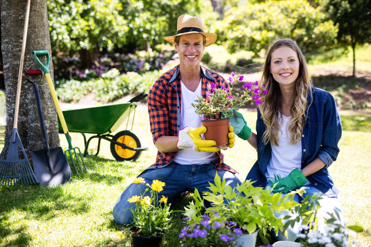 iStock-660340688.jpg