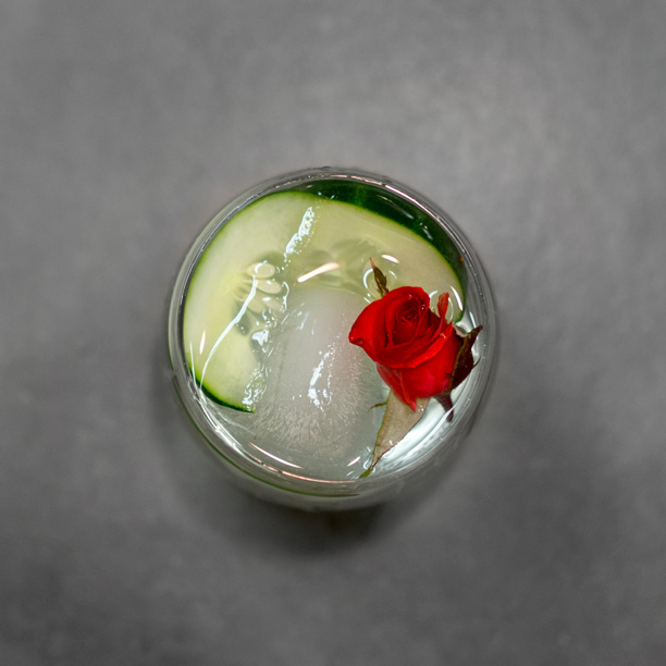 Cucumber-Rose-Gin.jpg
