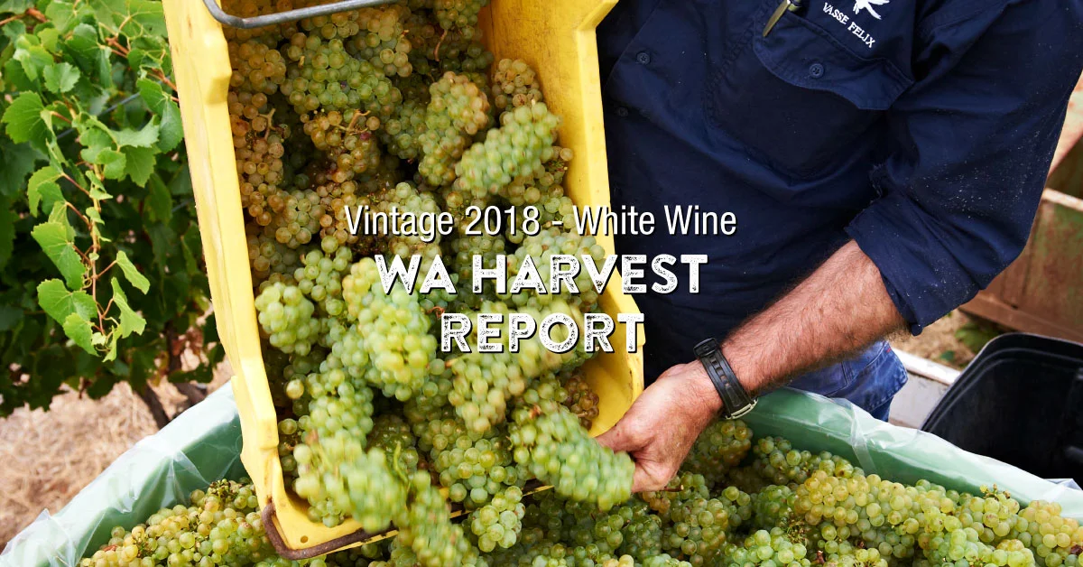 Image: Courtesy of Vasse Felix. 