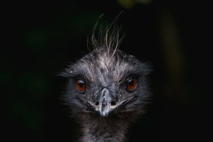 soren-astrup-jorgensen-336685-unsplash.jpg