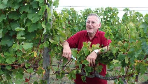 churchview-wine-picking.jpg