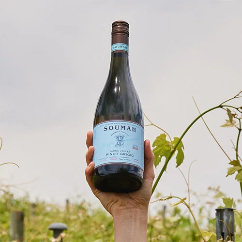 Soumah 2018 Yarra Valley Pinot Grigio.jpg
