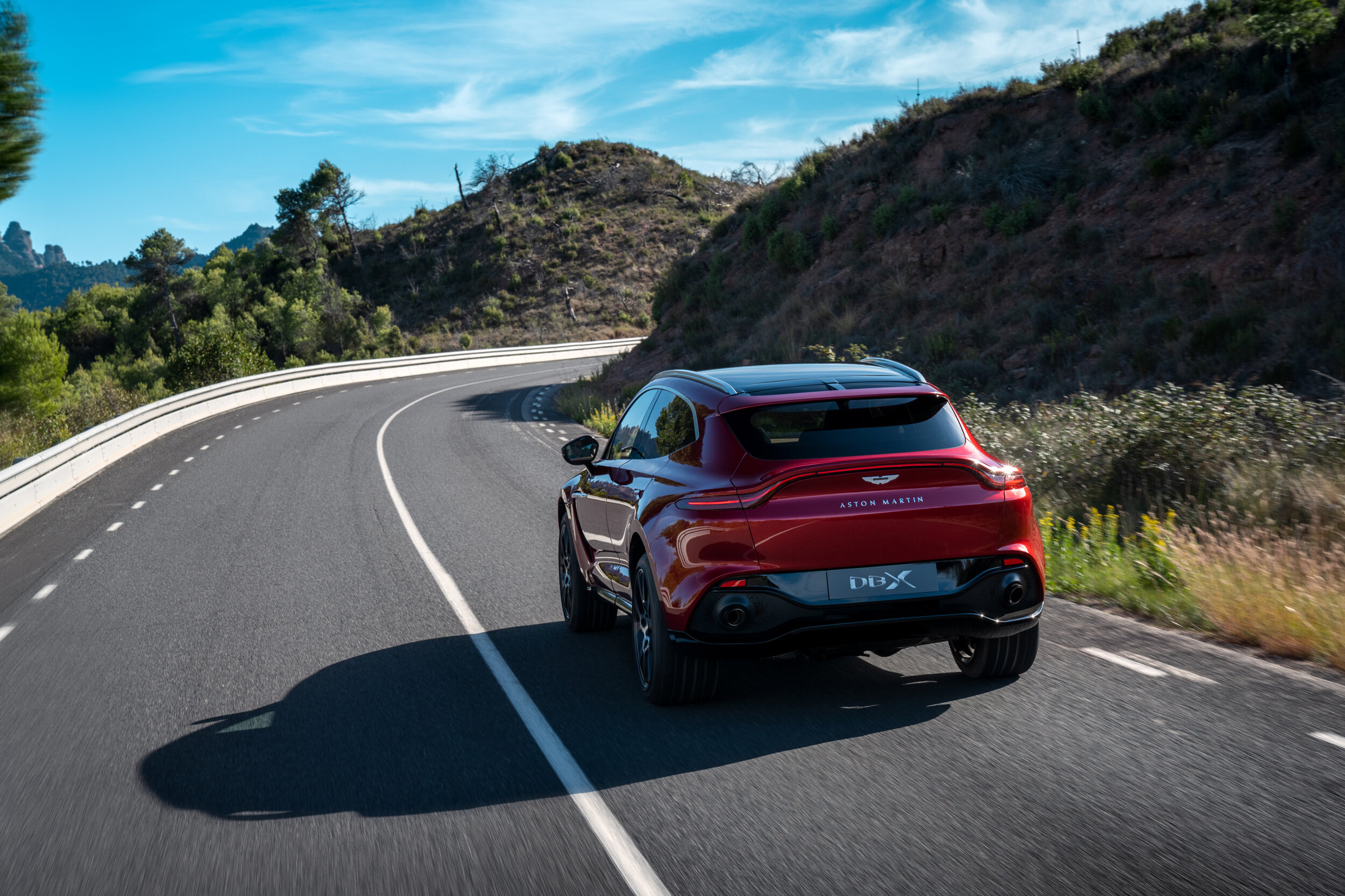 Aston Martin DBX_22.jpg