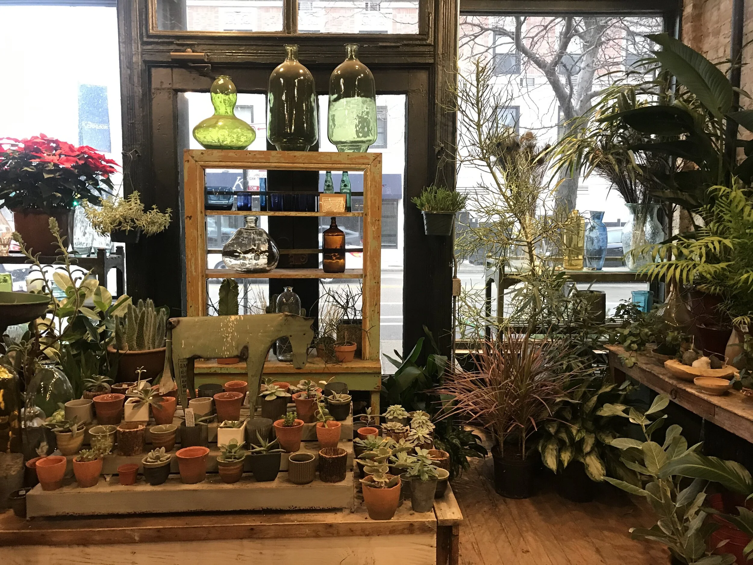 The lush and welcoming space called A New Leaf, a florist in Old Town of Chicago that I’ve loved since I moved to this city 6 years ago.