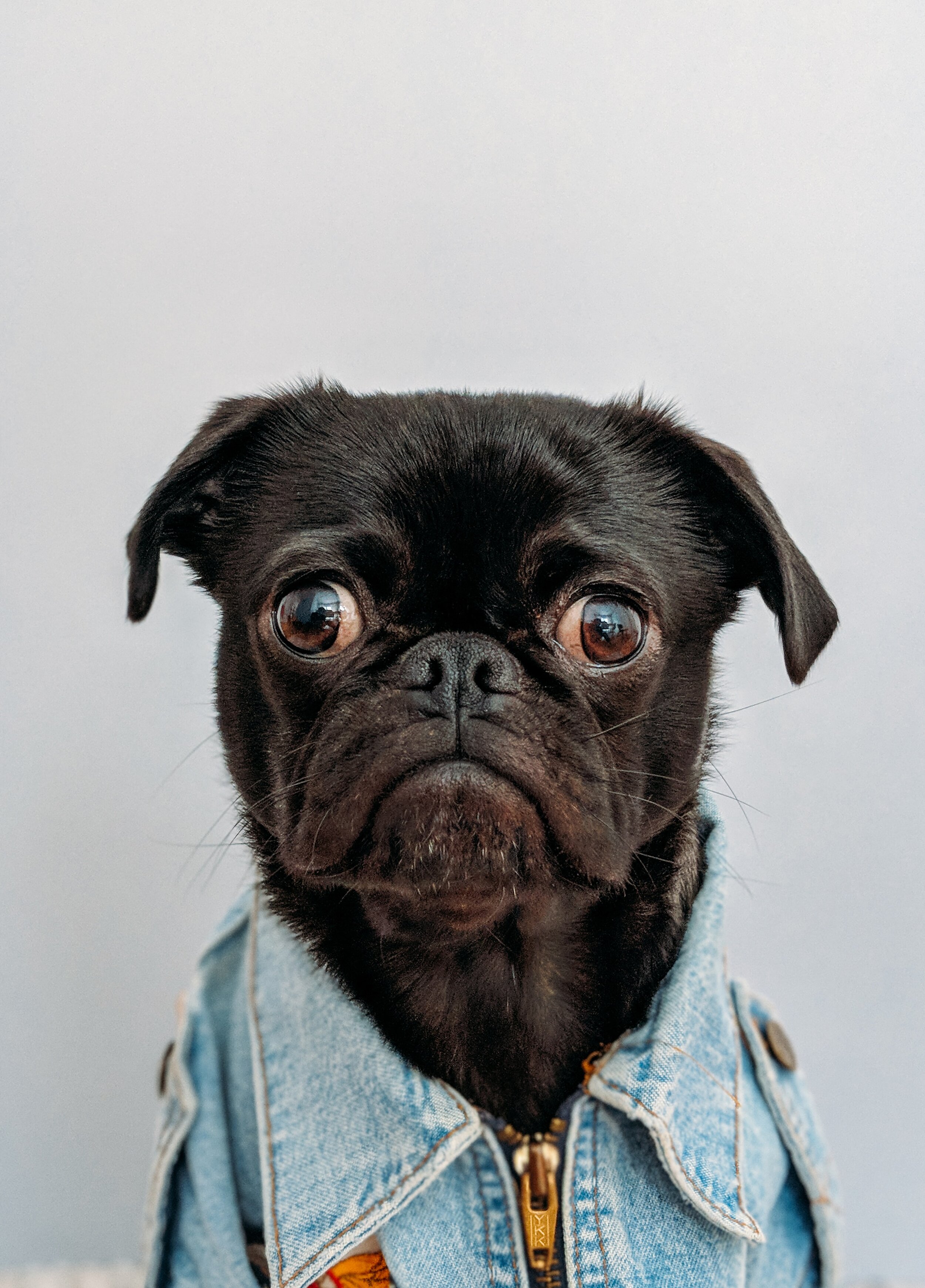 charles-deluvio-K4mSJ7kc0As-unsplash.jpg