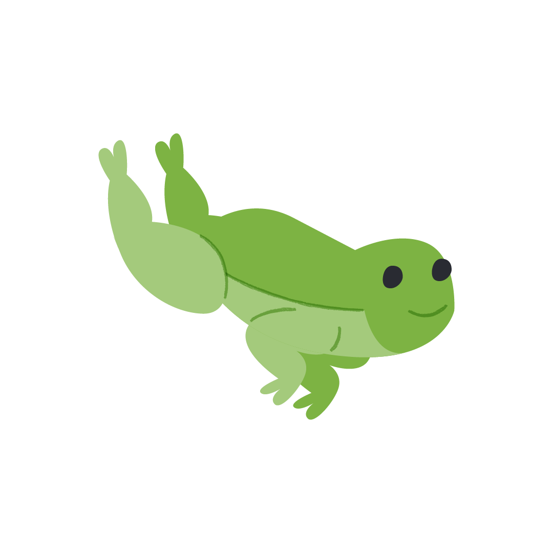 Frog jumping 3.png