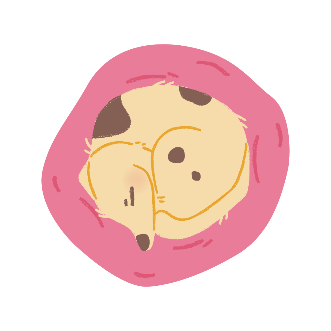 Sleeping dog top view.png
