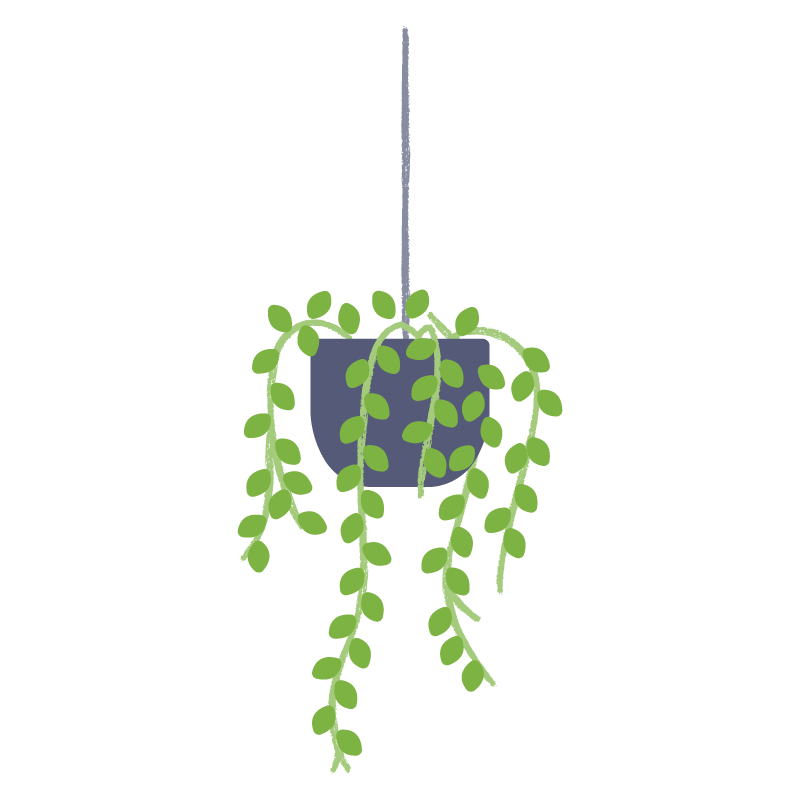 String of pearls.png