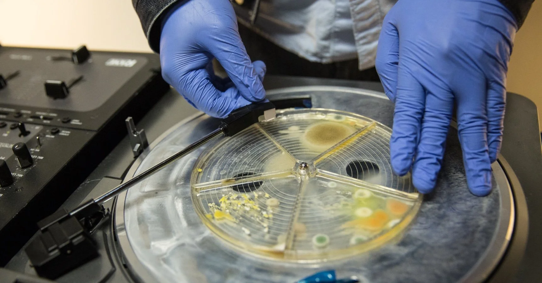 2016_10. BiotaBeats.006.jpeg