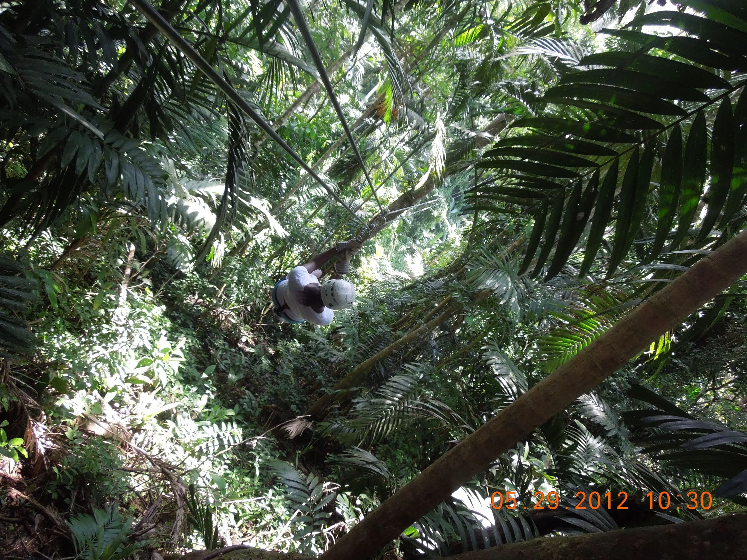Jamaica 2012 316.JPG
