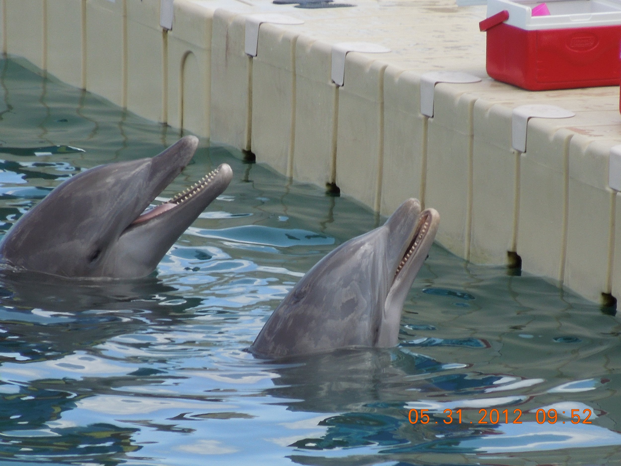 Jamaica 2012 570.JPG