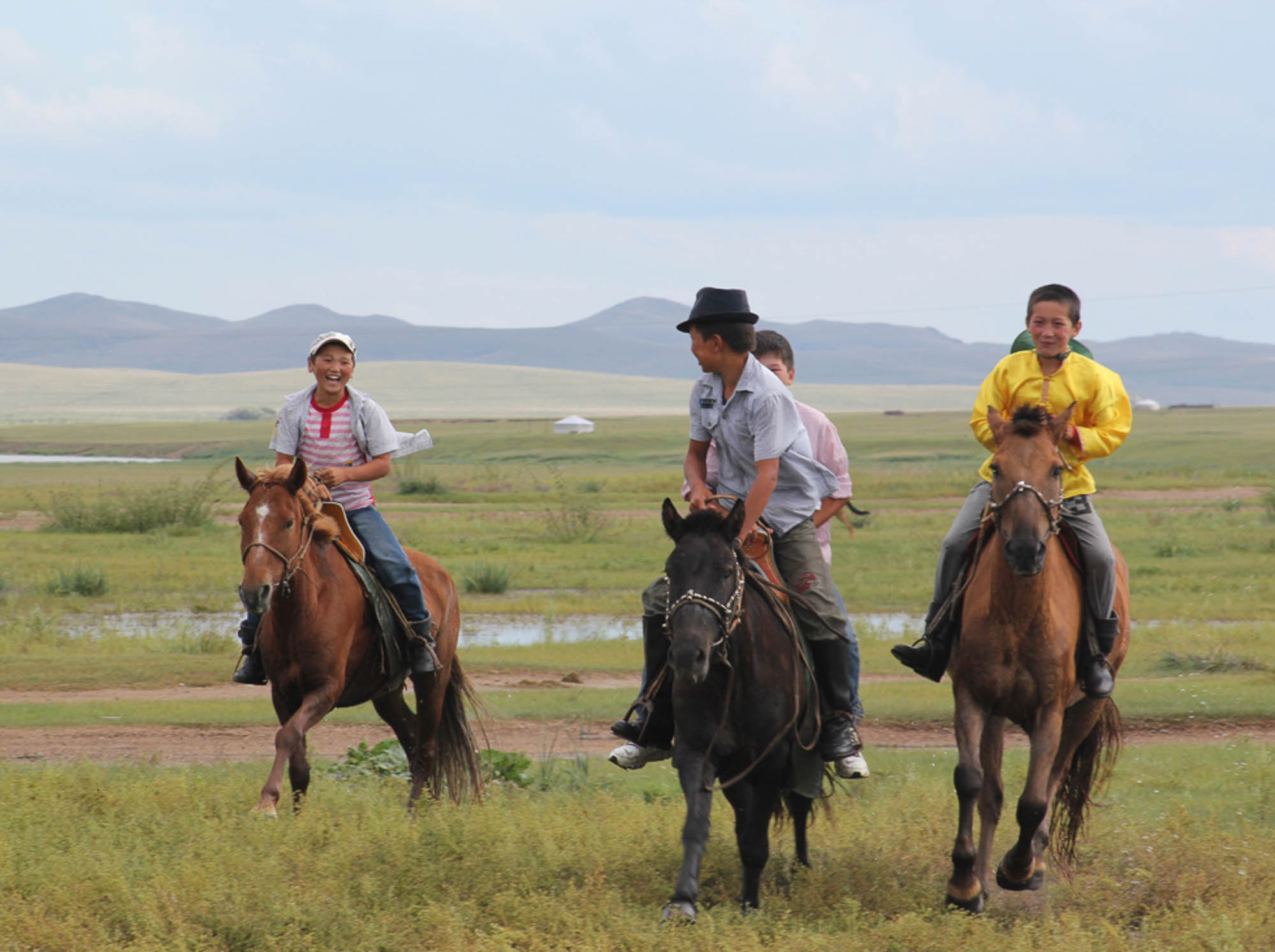 Mongolie cheval.jpg