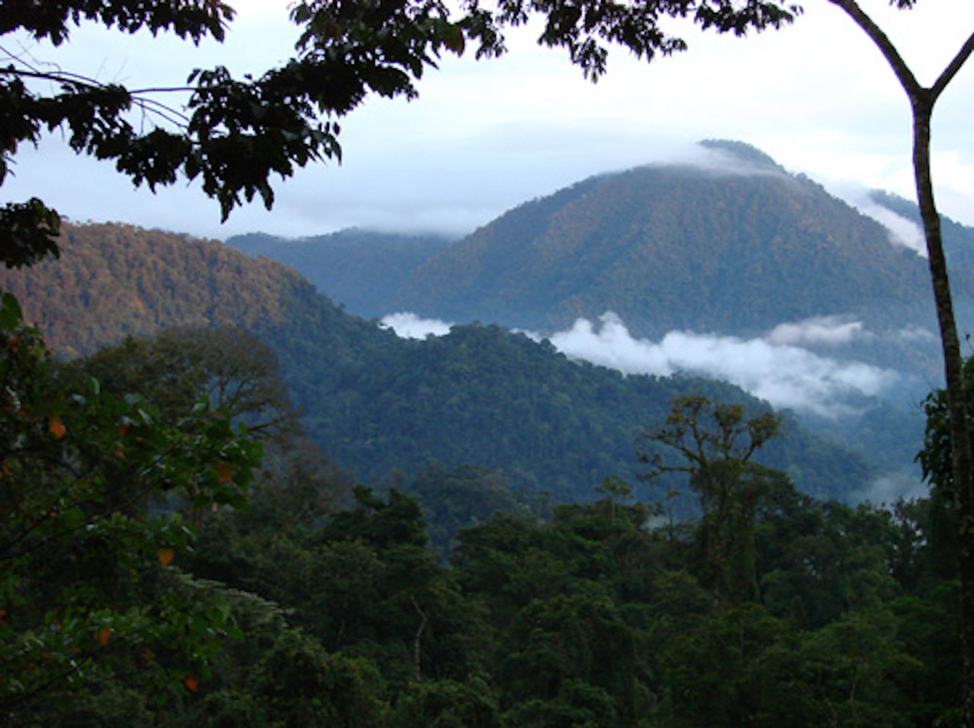 Costa Rica paysage.jpg