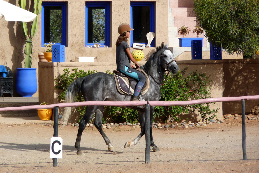 ranch-maroc-cheval03.jpg