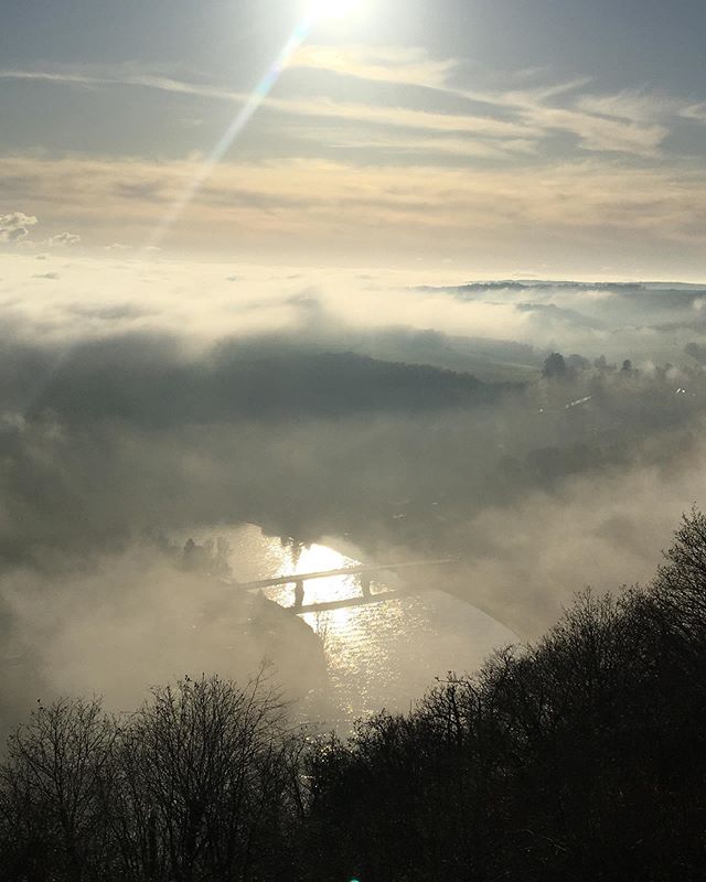 Un air froid, sec et une bonne dose de lumi&egrave;re. C&rsquo;est comme &ccedil;a que j&rsquo;❤️ l&rsquo;automne!
#nature #&eacute;nergie #automne  #belgique #namur #nofilter #love #power