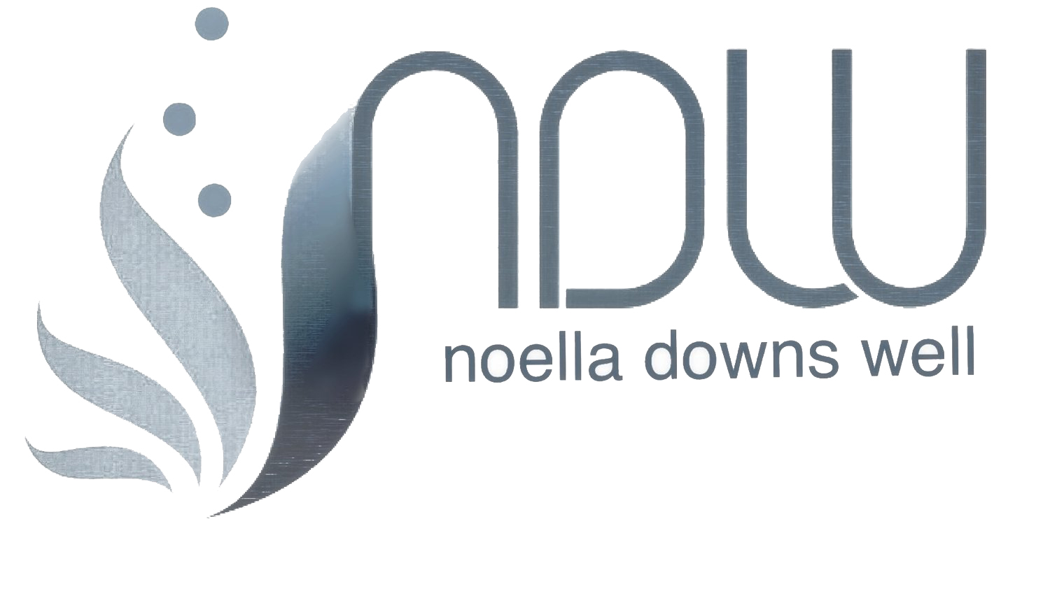 noella downs well