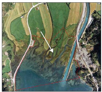 Aerial overview of the estuary (Norsk Bremuseum)