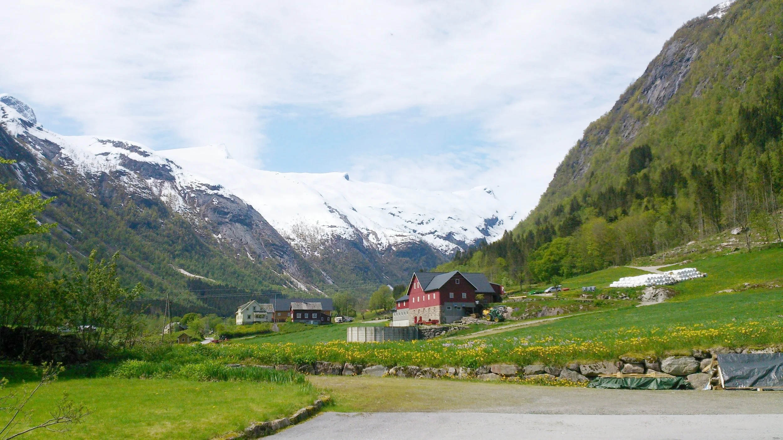 DSC_0419.JPG