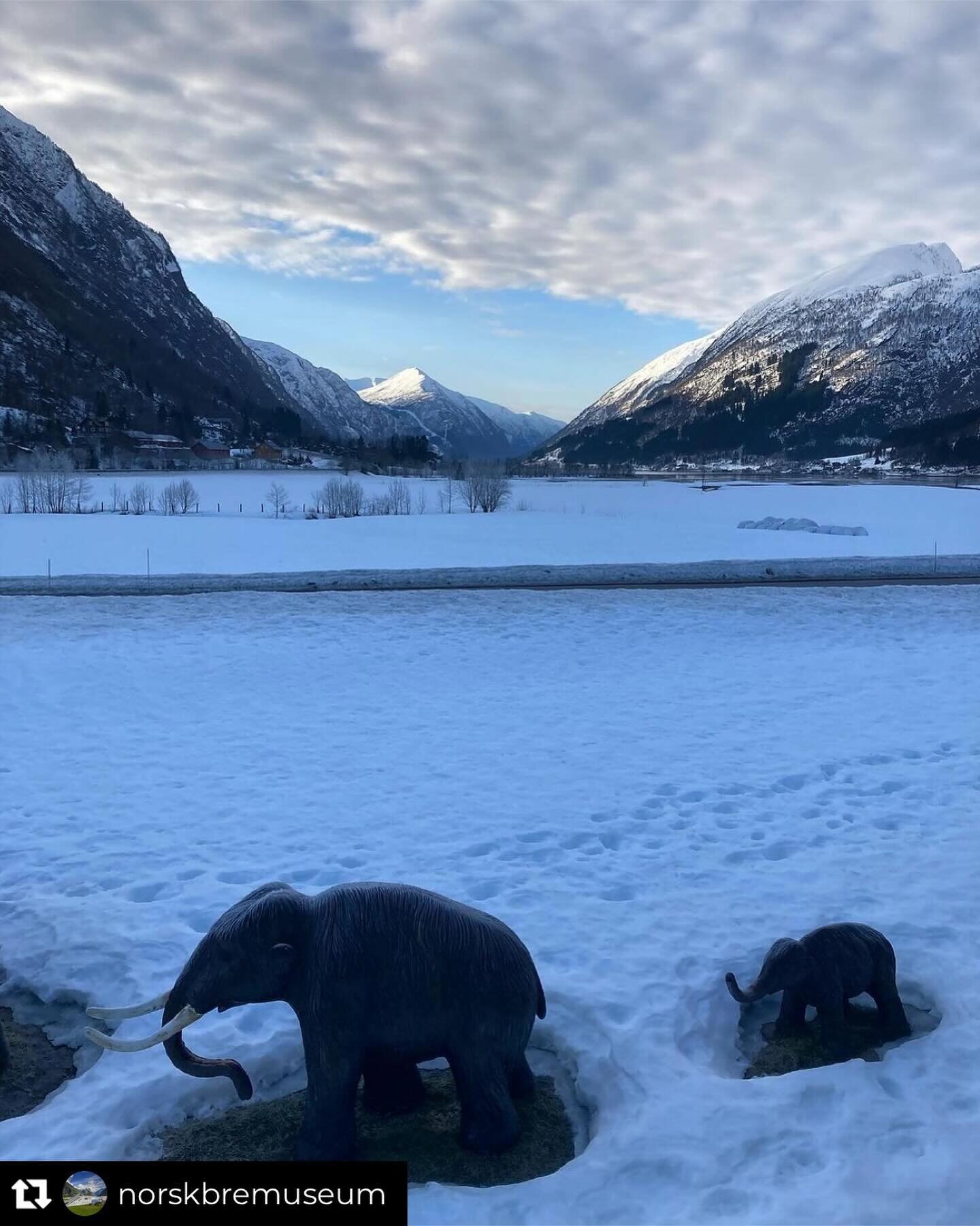 Cold morning before the sun sets on the mammoths here in Fj&aelig;rland! 😅🥶🦣

The museum is open on 12th and 13th of March next week. Book at our website (link in bio).

#fj&aelig;rland #fj&aelig;rlandfr&aring;fjordtilfjell #fj&aelig;rlandsfjorden