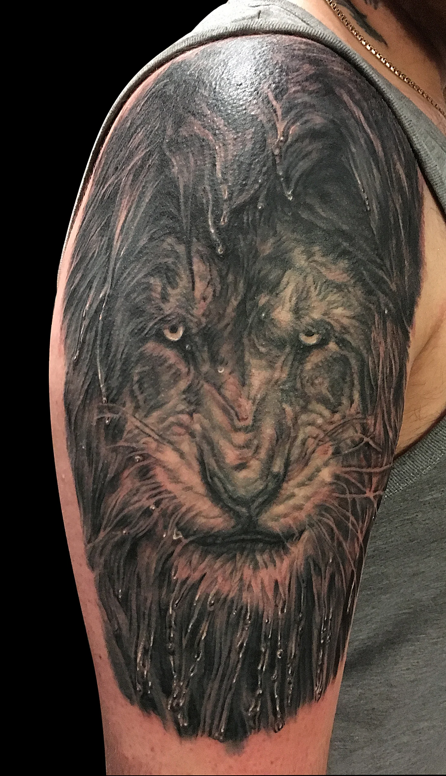 Black and grey lion tattoo by Benjamin Moss