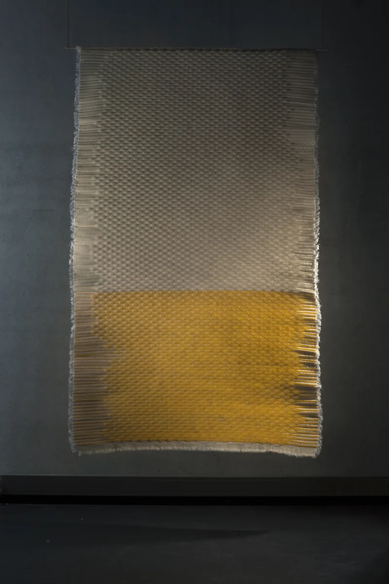 DoubleWeave_EstherVanSchuylenbergh1.jpg
