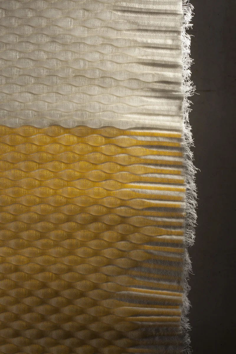 DoubleWeave_EstherVanSchuylenbergh2.jpg