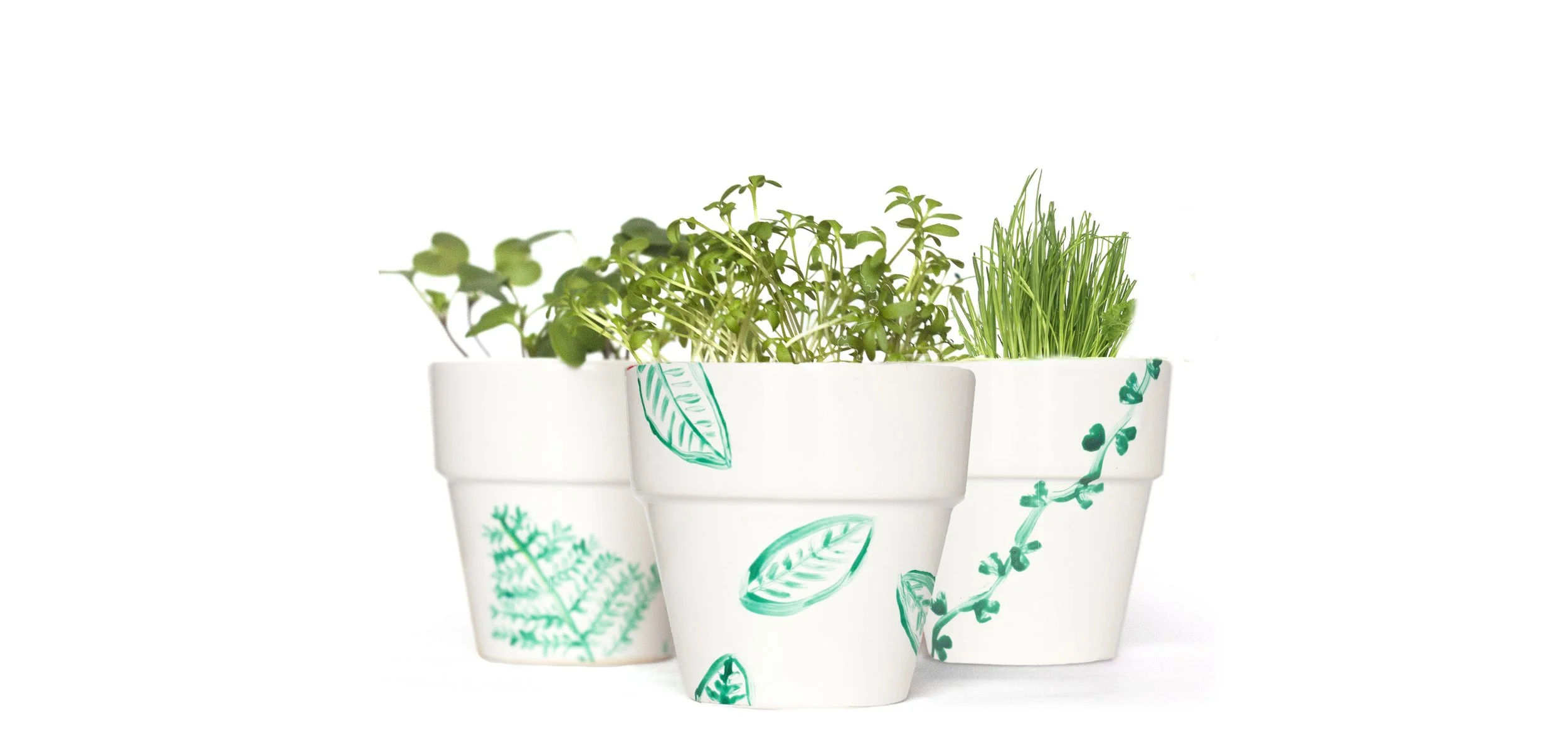 Urban Window Sill garden Kit.jpg
