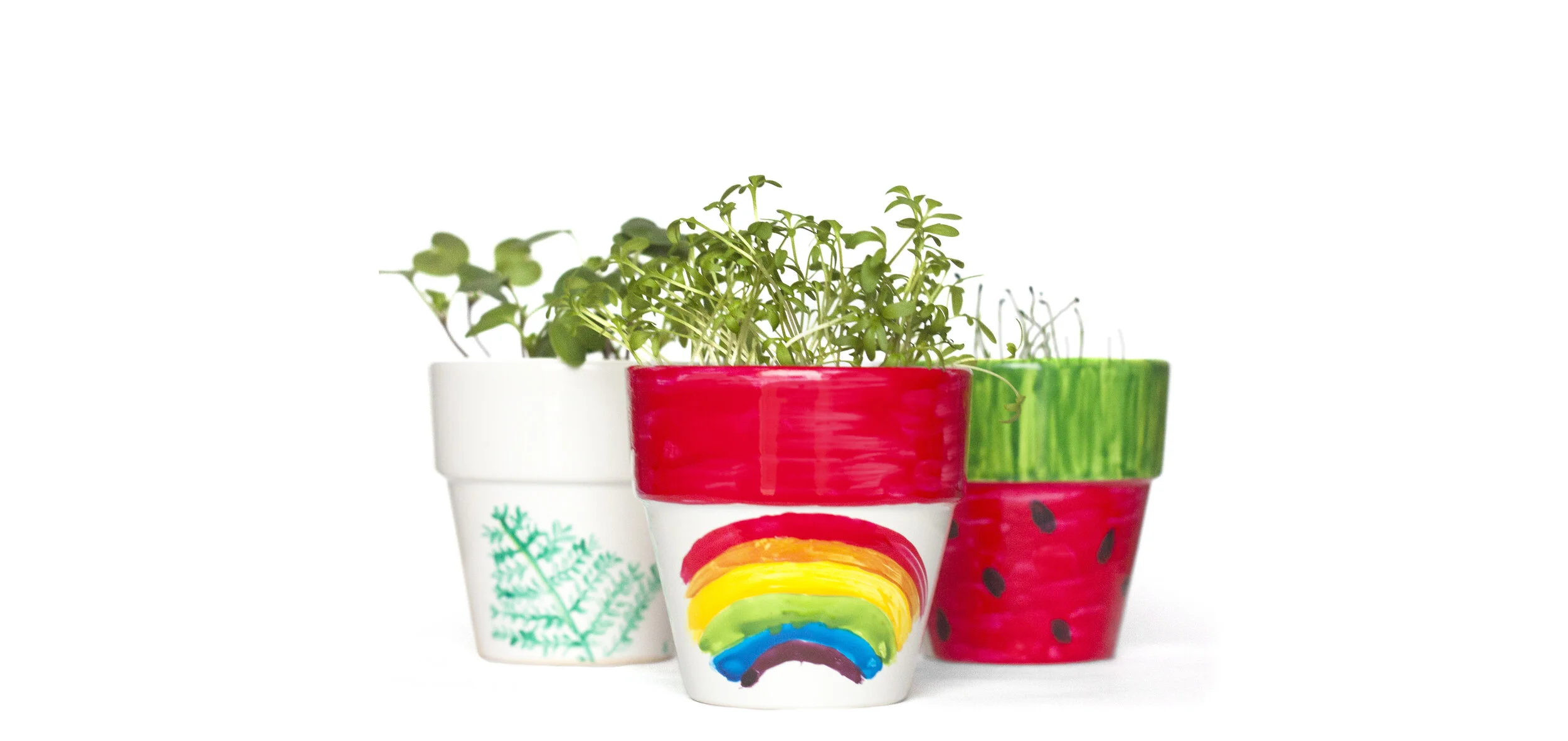 Plant Pot Window Sill garden Kit.jpg