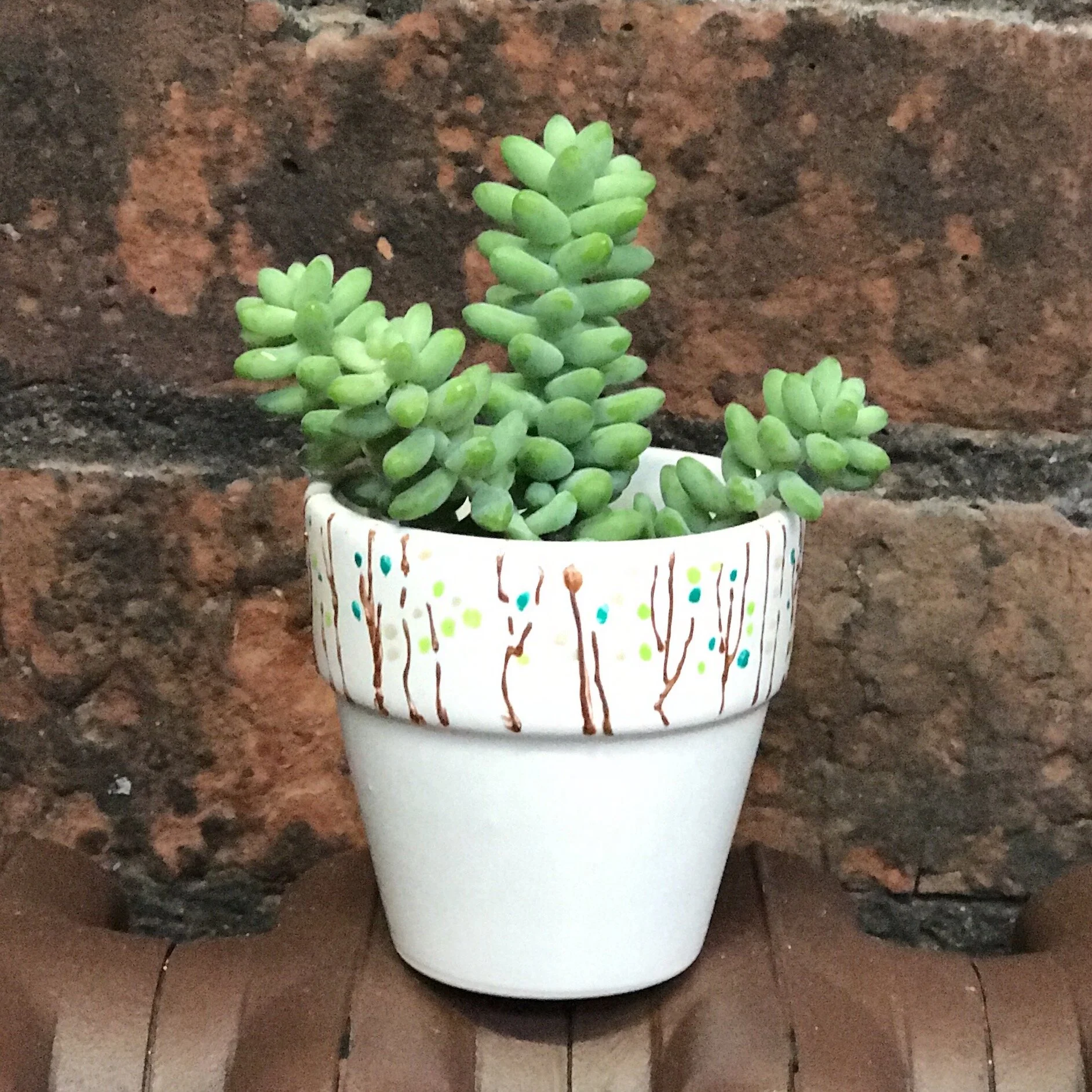 Plant Pot Painting The Crafty Hen 2.JPG