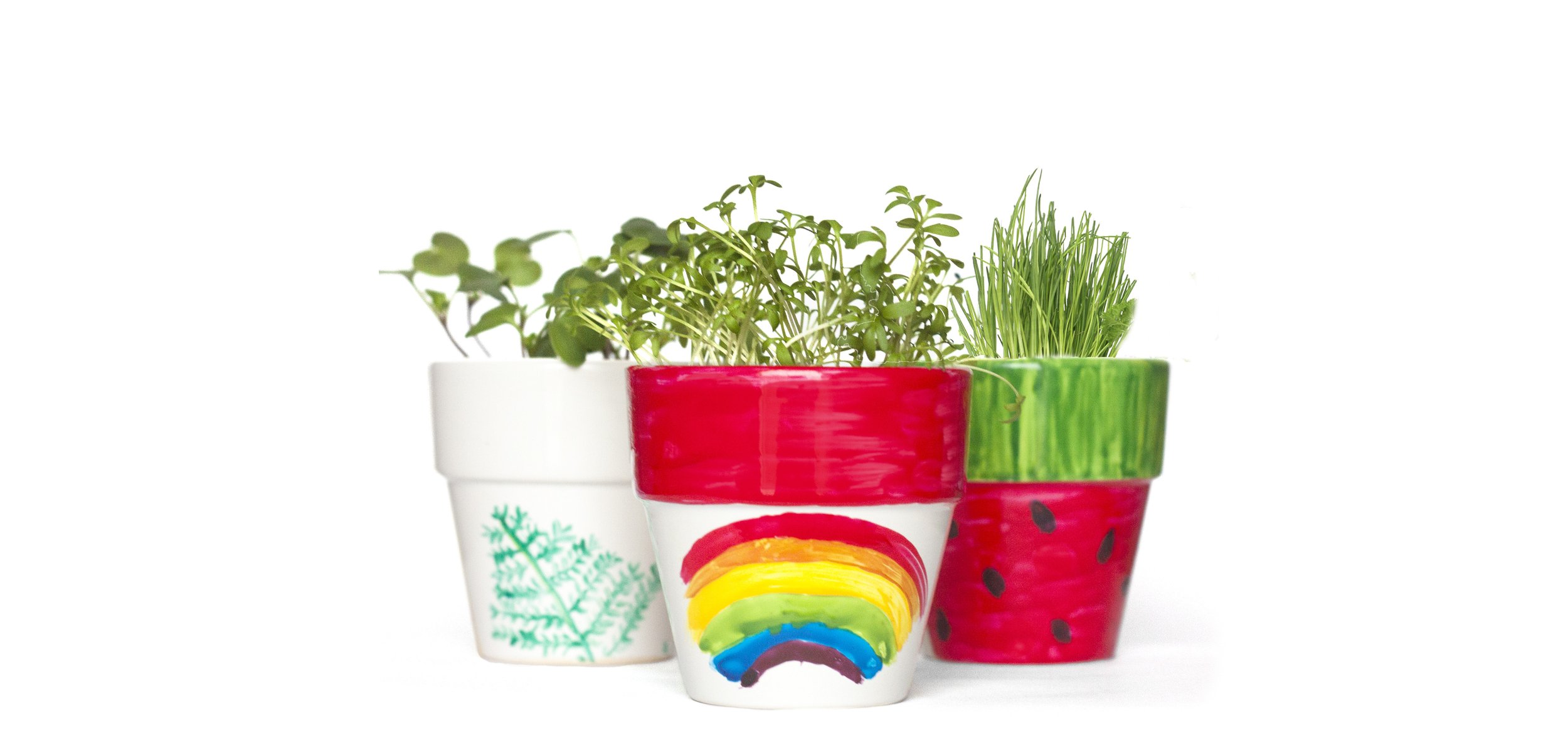 Plant Pot Window Sill garden Kit urban.jpg