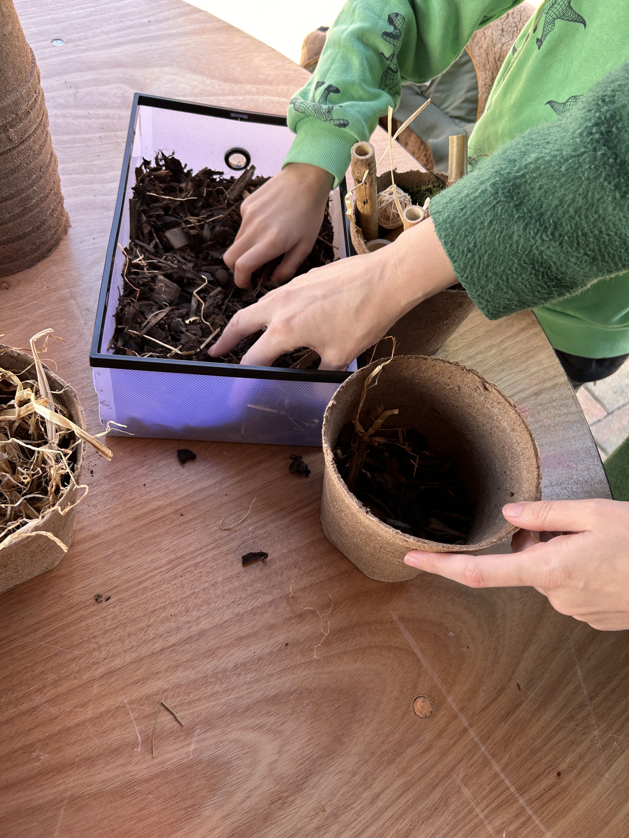 Bug Hotel Children Workshop The Crafty Hen.jpeg