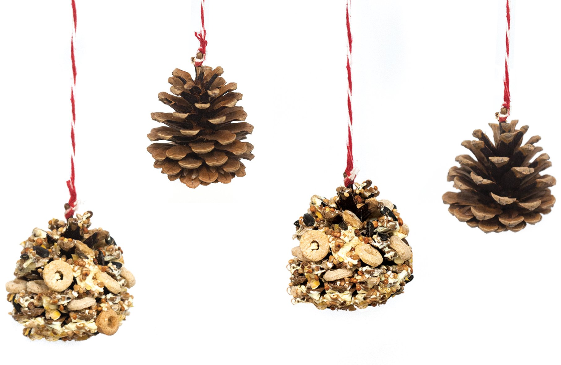 Natural birdfeeder workshop Pinecone 11.jpg