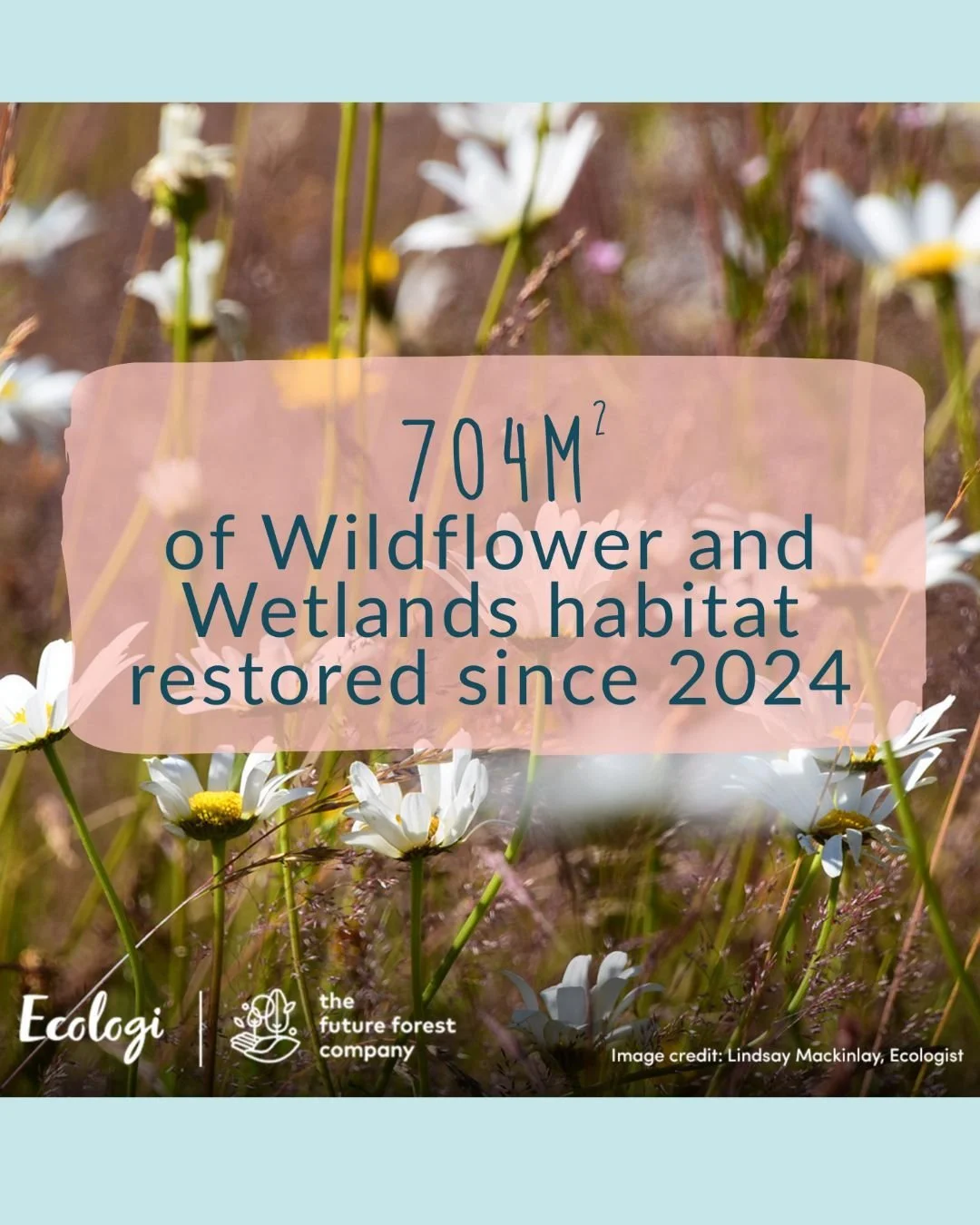 Thanks to your workshop bookings, we&rsquo;ve now helped restore 704m&sup2; of wildflower and wetland habitat with @ecologi_hq 🌱

With every new workshop booking, we restore even more! So when you book with us, you&rsquo;re directly supporting this 