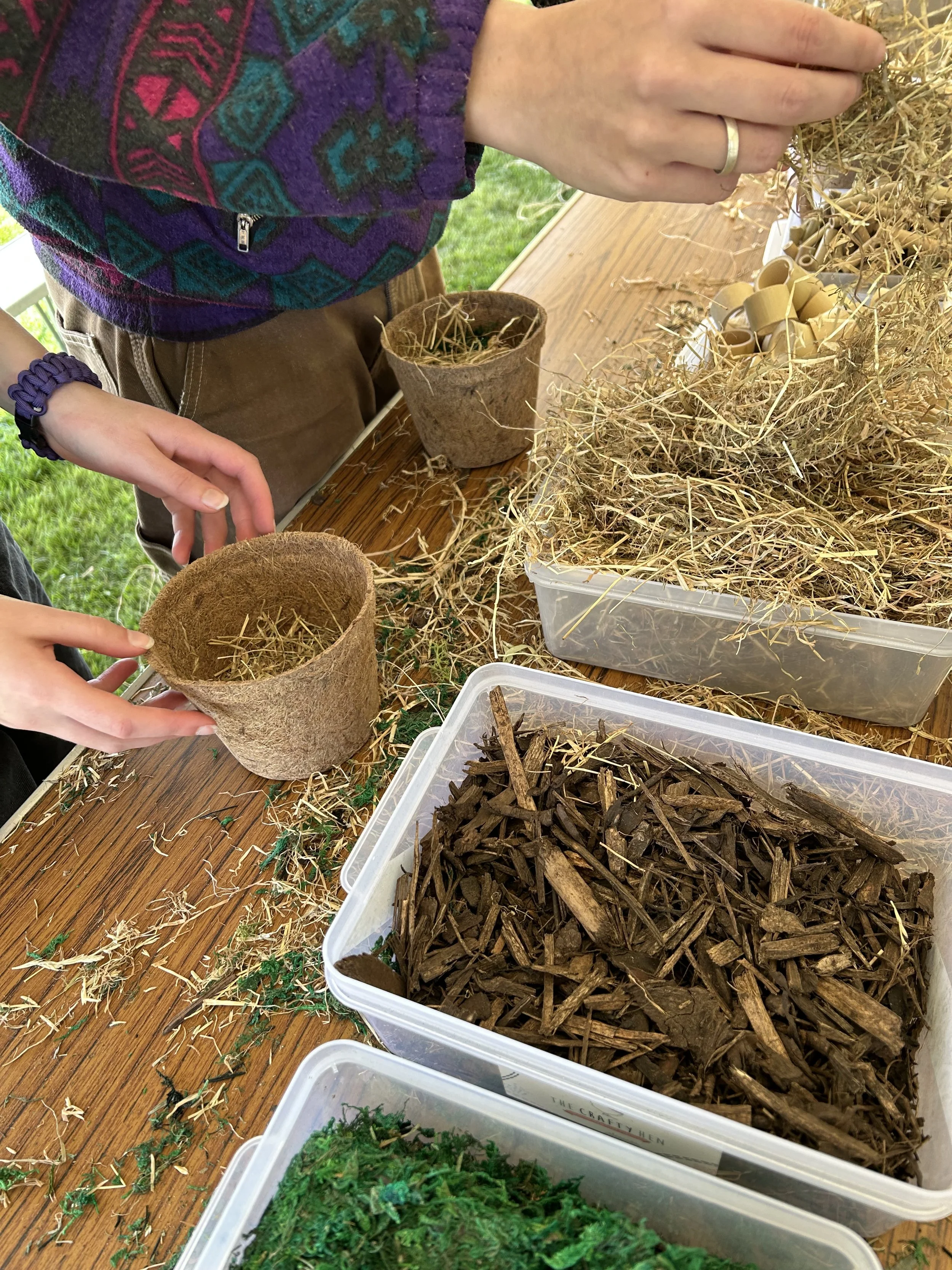 Bug Hotel Kids Crafts Activities Essex THE CRAFTY HEN.jpeg