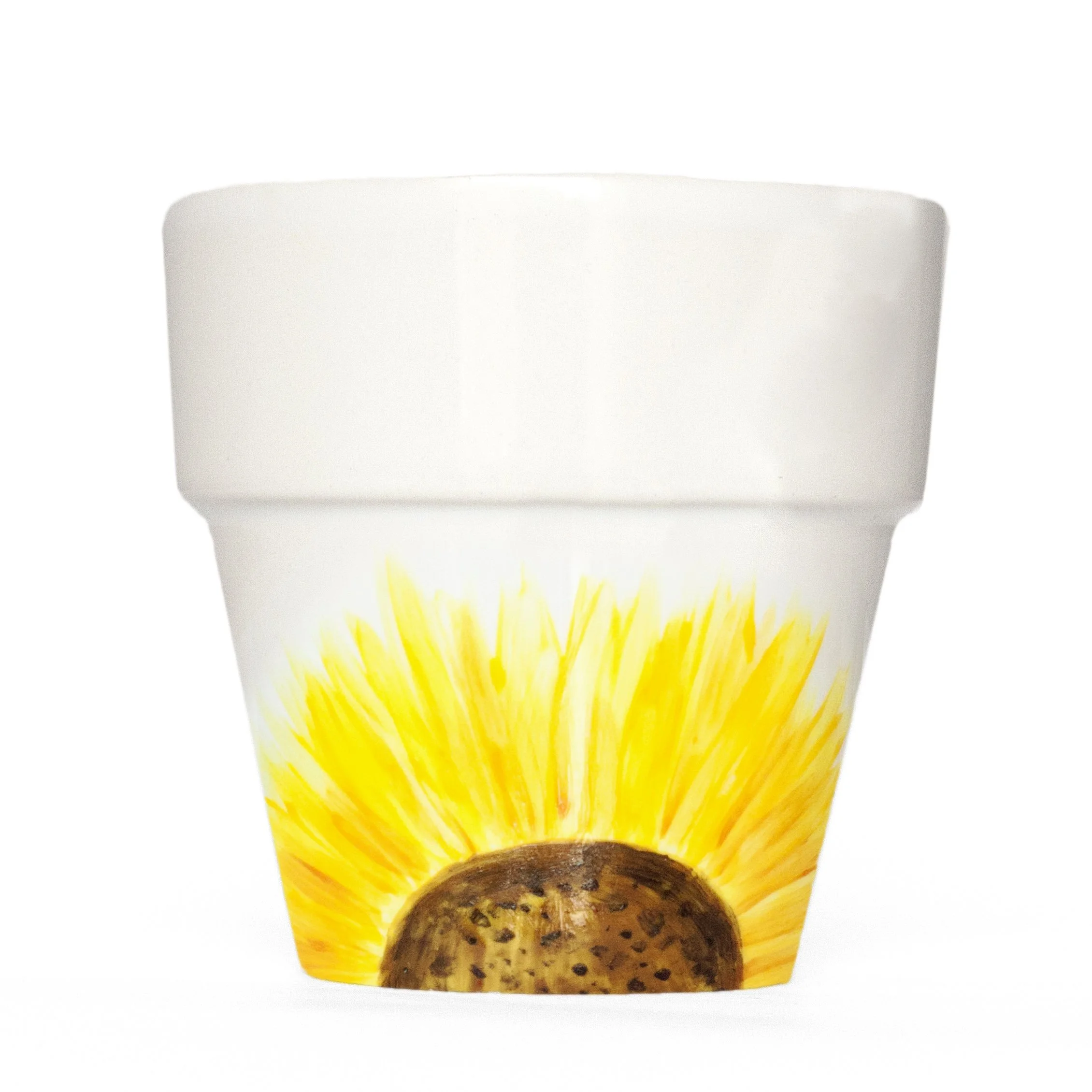 Plant Pot 1 sunflower.jpg
